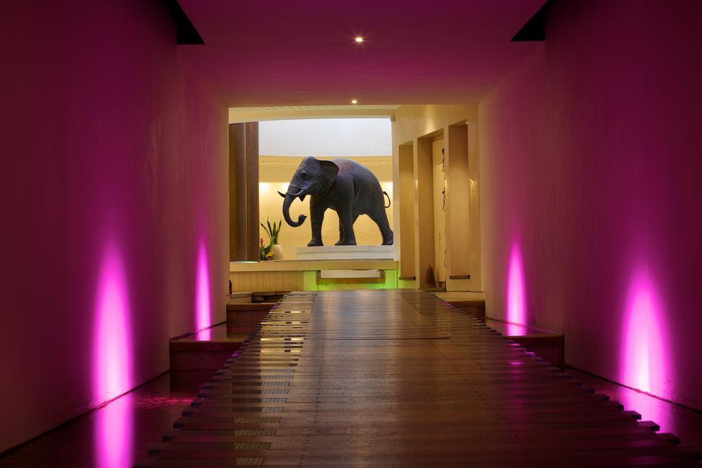 Seaham Hall And Serenity Spa Экстерьер фото